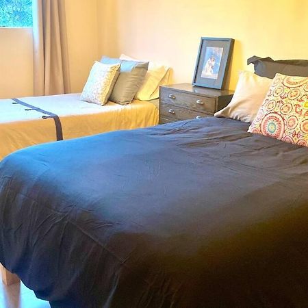 Amazing Cozy Apartment In Condesa Мехіко Екстер'єр фото