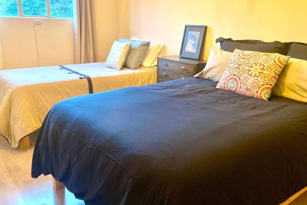 Amazing Cozy Apartment In Condesa Мехіко Екстер'єр фото