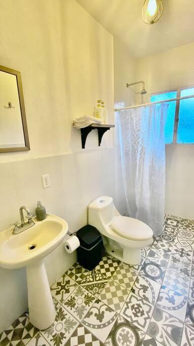 Amazing Cozy Apartment In Condesa Мехіко Екстер'єр фото